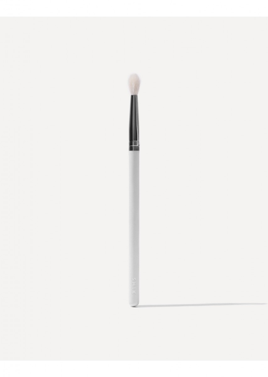 Eye Makeup Brush 10