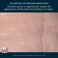 89804holiday25pdpbaenchanted-rose-duo2000x2000