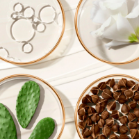 screenshot-2025-12-10-184506