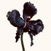 screenshot-2025-12-30-150644