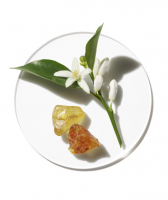 screenshot-2026-01-09-121919