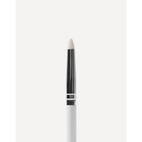 Eye Makeup Brush 12