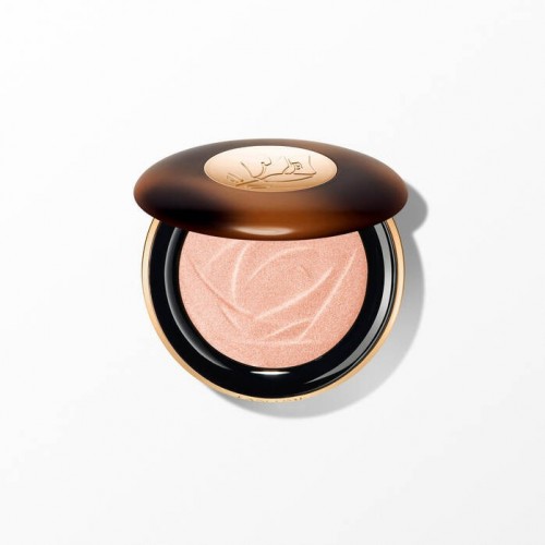 Teint Idole Ultra Powder Highlighter 05